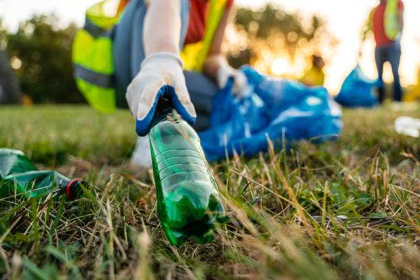 Yard Cleanup Services in Haslet, TX